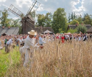 XXII Podlaskie Święto Chleba - fotorelacja