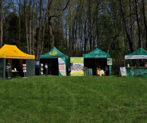 XIV Jarmark Św. Wojciecha i Festyn Leśny XIV Jarmark Św. Wojciecha i Festyn Leśny