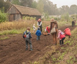 Wykopki w Skansenie 2013