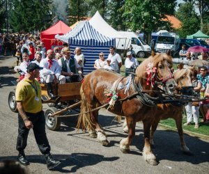 XV Podlaskie Święta Chleba w Muzeum Rolnictwa im. ks. Krzysztofa Kluka w Ciechanowcu XV Podlaskie Święta Chleba w Muzeum Rolnictwa im. ks. Krzysztofa Kluka w Ciechanowcu