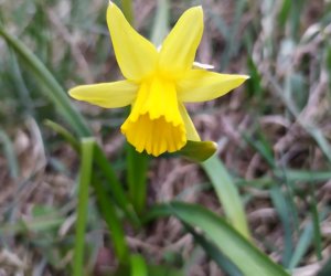 Codziennik Muzealny - Wiosna już zawitała Codziennik Muzealny - Wiosna już zawitała