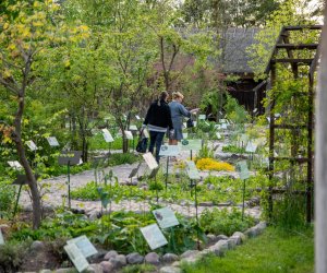 Noc Muzeów "Teatralnie" - fotorelacja Noc Muzeów "Teatralnie" - fotorelacja