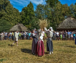 XV Podlaskie Święta Chleba w Muzeum Rolnictwa im. ks. Krzysztofa Kluka w Ciechanowcu XV Podlaskie Święta Chleba w Muzeum Rolnictwa im. ks. Krzysztofa Kluka w Ciechanowcu