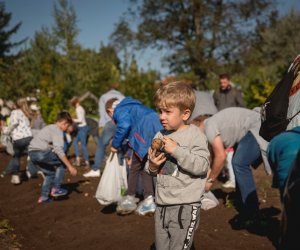 Jesień w polu i zagrodzie - fotorelacja Jesień w polu i zagrodzie - fotorelacja