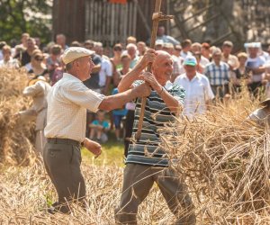 XIV Podlaskie Święto Chleba XIV Podlaskie Święto Chleba