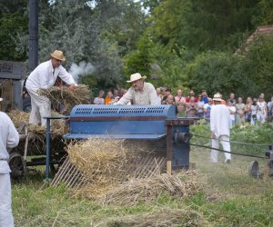 XXII Podlaskie Święto Chleba - fotorelacja