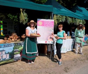 Muzeum na Pikniku Poznaj Dobrą Żywność Muzeum na Pikniku Poznaj Dobrą Żywność