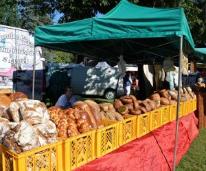 XVIII Podlaskie Święto Chleba - fotorelacja XVIII Podlaskie Święto Chleba - fotorelacja