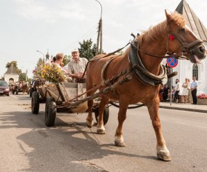 Święto Chleba po raz trzynasty