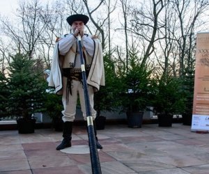 Galeria z 5 grudnia 2015