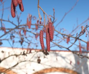 Nowe budki lęgowe w muzealnym parku Nowe budki lęgowe w muzealnym parku