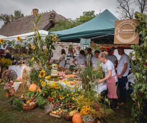 Jesień w polu i zagrodzie - fotorelacja Jesień w polu i zagrodzie - fotorelacja