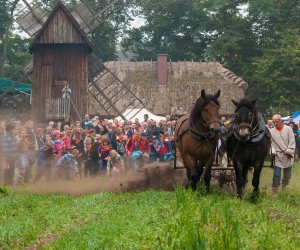 DZIAŁ PROMOCJI DZIAŁ PROMOCJI