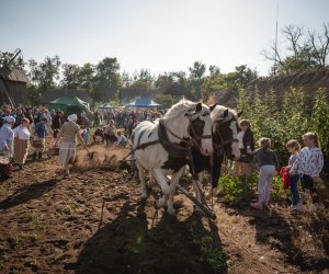 Jesień w polu i zagrodzie - fotorelacja Jesień w polu i zagrodzie - fotorelacja