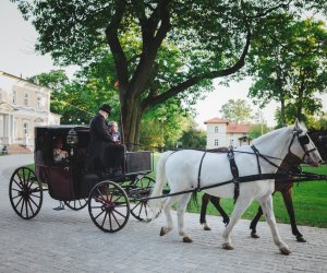 Noc Muzeów 2018 - fotorelacja Noc Muzeów 2018 - fotorelacja