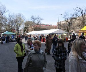 Muzeum Rolnictwa na Pikniku "Poznaj Mazowsze" w Warszawie Muzeum Rolnictwa na Pikniku "Poznaj Mazowsze" w Warszawie
