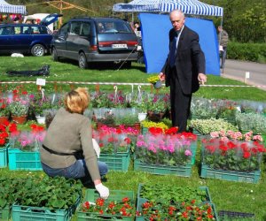 JARMARK ŚWIĘTEGO WOJCIECHA W MUZEUM ROLNICTWA W CIECHANOWCU JARMARK ŚWIĘTEGO WOJCIECHA W MUZEUM ROLNICTWA W CIECHANOWCU