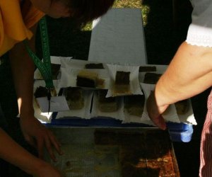 Wykopki w skansenie 2009