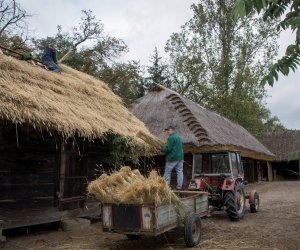 Jesień w Polu i Zagrodzie 2018 - fotorelacja Jesień w Polu i Zagrodzie 2018 - fotorelacja
