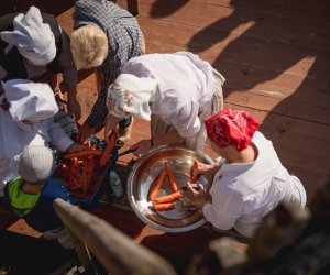 Jesień w polu i zagrodzie - fotorelacja Jesień w polu i zagrodzie - fotorelacja