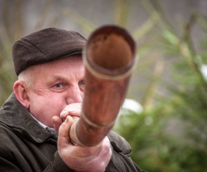 Galeria z 6 grudnia 2014 Galeria z 6 grudnia 2014