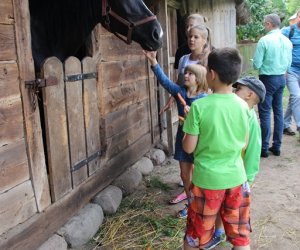 XVI Podlaskie Święto Chleba