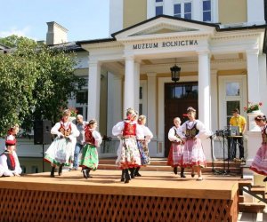 Wykopki w skansenie 2009