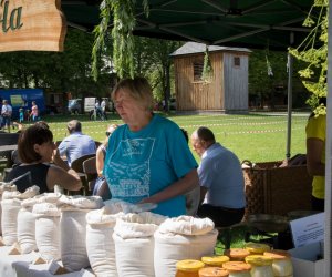 IX Zajazd Wysokomazowiecki - fotorelacja IX Zajazd Wysokomazowiecki - fotorelacja
