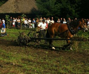 Wykopki w skansenie 2009