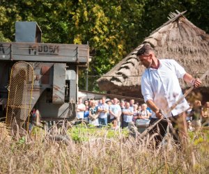 XVIII Podlaskie Święto Chleba - fotorelacja XVIII Podlaskie Święto Chleba - fotorelacja