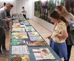 Jarmark św. Wojciecha 2024 - fotorelacja Jarmark św. Wojciecha 2024 - fotorelacja