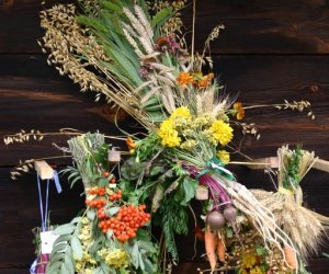 VIII PODLASKIE ŚWIĘTO CHLEBA VIII PODLASKIE ŚWIĘTO CHLEBA