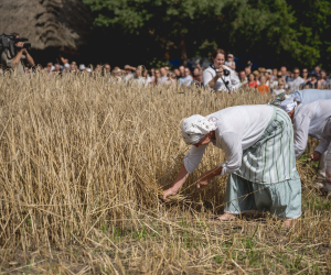 DZIAŁ HISTORII UPRAWY ROŚLIN I HODOWLI ZWIERZĄT