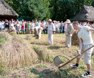 X PODLASKIE ŚWIĘTO CHLEBA