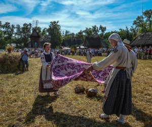 XV Podlaskie Święta Chleba w Muzeum Rolnictwa im. ks. Krzysztofa Kluka w Ciechanowcu XV Podlaskie Święta Chleba w Muzeum Rolnictwa im. ks. Krzysztofa Kluka w Ciechanowcu