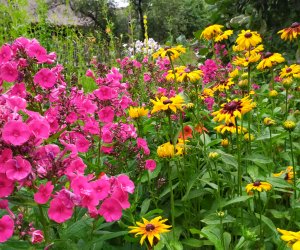 2023 rokiem wiejskich ogrodów 2023 rokiem wiejskich ogrodów