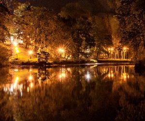 Noc Muzeów Noc Muzeów