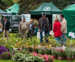 Jarmark św. Wojciecha i Święto Lasu Jarmark św. Wojciecha i Święto Lasu