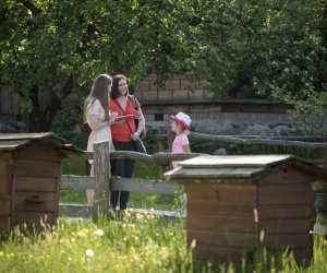 Noc Muzeów 2017 - fotorelacja Noc Muzeów 2017 - fotorelacja