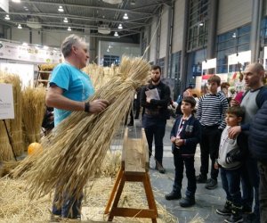 Narodowa Wystawa Rolnicza w Poznaniu Narodowa Wystawa Rolnicza w Poznaniu