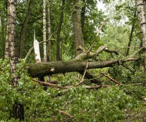 Nawałnica w ciechanowieckim muzeum Nawałnica w ciechanowieckim muzeum
