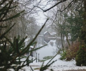 Ligawki 2017 - fotorelacja