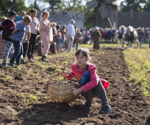 Jesień w polu i zagrodzie 2021 - fotorelacja Jesień w polu i zagrodzie 2021 - fotorelacja