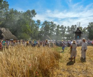 XV Podlaskie Święta Chleba w Muzeum Rolnictwa im. ks. Krzysztofa Kluka w Ciechanowcu XV Podlaskie Święta Chleba w Muzeum Rolnictwa im. ks. Krzysztofa Kluka w Ciechanowcu