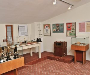 Odnowiona ekspozycja Muzeum Weterynarii