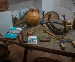 EDD 2018 w Muzeum Rolnictwa w Ciechanowcu - fotorelacja