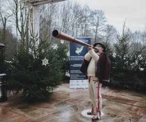 Ligawki 2018 Ligawki 2018