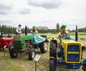 Muzeum Rolnictwa po raz kolejny na Pikniku Poznaj Dobrą Żywność