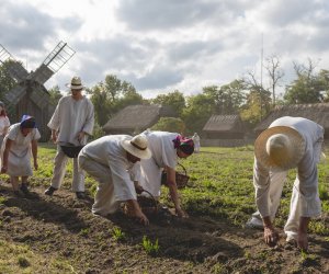 DZIAŁ PROMOCJI DZIAŁ PROMOCJI