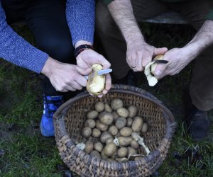 Jesień w polu i zagrodzie. Etnograficzny festiwal kultury ludowej 2022 - fotorelacja Jesień w polu i zagrodzie. Etnograficzny festiwal kultury ludowej 2022 - fotorelacja
